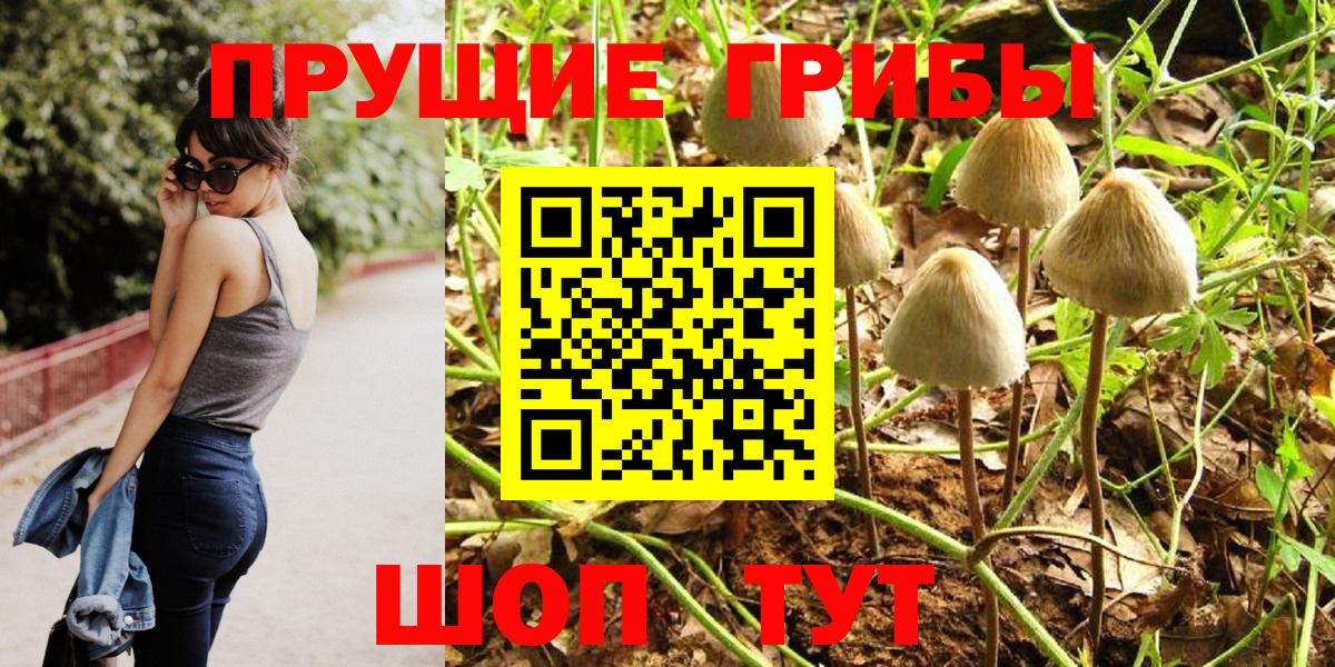 Тверь  Псилоцибиновые грибы мухоморы  купить  цена  Вход с VPN  Псилоцибиновые грибы MAGIC MUSHROOMS 